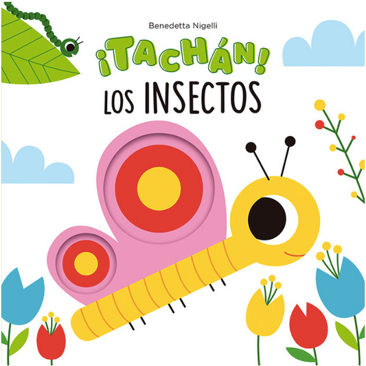 ¡TACHÁN! LOS INSECTOS