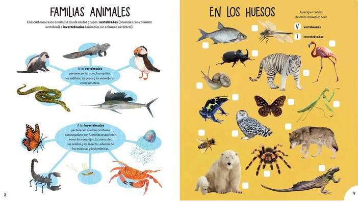 CUADERNO DE ACTIVIDADES ANIMALES GENIALES (3 A 6 AÑOS)